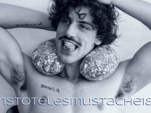 Aristotelesmustache18