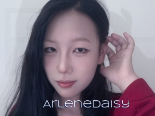 Arlenedaisy