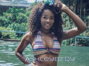 Ashleybirdy