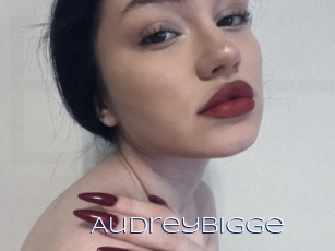 Audreybigge
