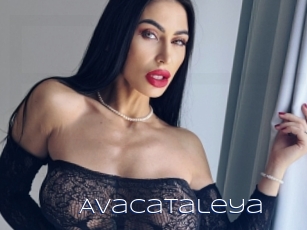 Avacataleya