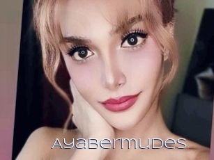 Ayabermudes