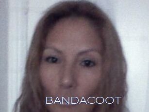 BANDACOOT