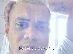 BIGDICKFORU4