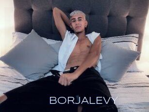 BORJALEVY