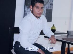 BRUCEnel