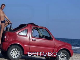 BerryBoy
