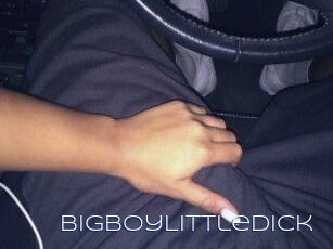 BigBoyLittleDick