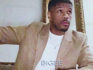 BigEE