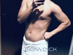 BigNVDick