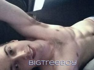BigTreeBoy