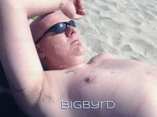 Bigbyrd