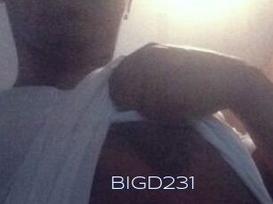 Bigd231