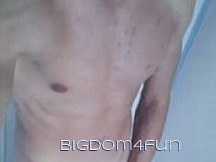 Bigdom4fun