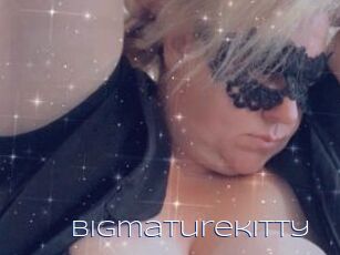 Bigmaturekitty