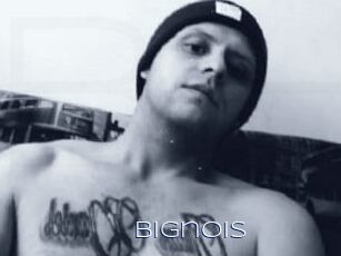 Bignois