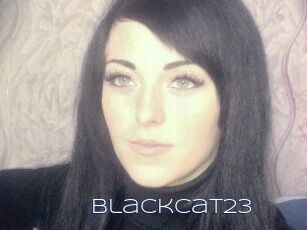 BlackCat23