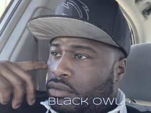 Black_owl