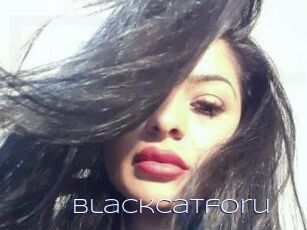 Blackcatforu