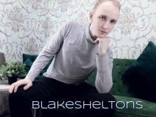 BlakeSheltons