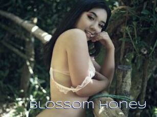 Blossom_honey