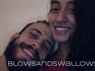 BlowsAndSwallows
