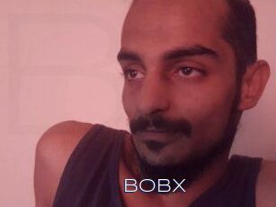 BobX