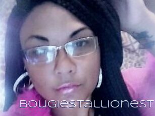BougieStallionest