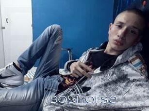 BoyHorse