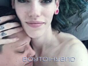 BoytoiHybrid