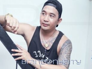 BrandonHarry
