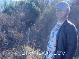 BrandonLevi