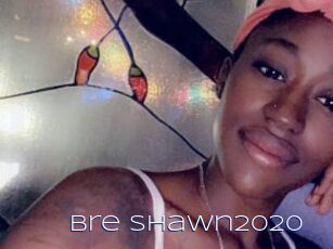 Bre_Shawn2020