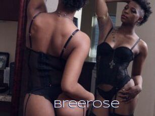 Breerose