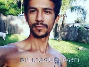 Bruce_Sullivan