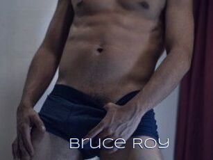 Bruce_Roy