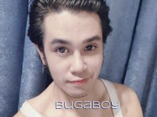 Bugaboy