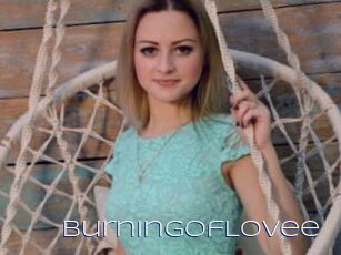 BurningOfLovee