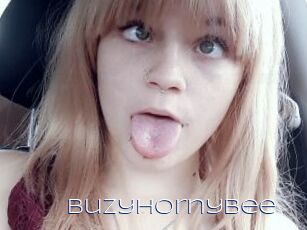 BuzyHornyBee