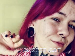 Buzzzz_Cat