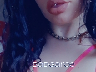 Badgarce