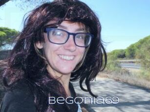 Begonia69