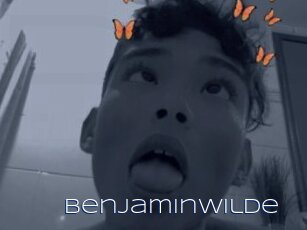 Benjaminwilde