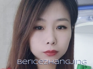 Bericezhangjing