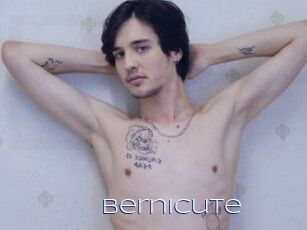 Bernicute