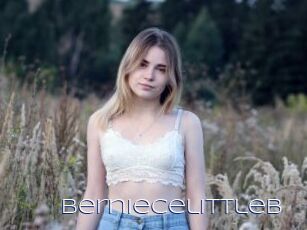 Berniecelittleb