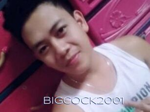 BigCOCK2001
