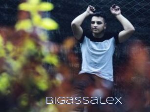 Bigassalex