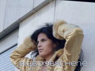 Bigboobscherie