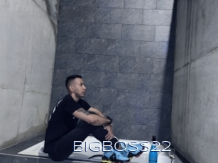 Bigboss22